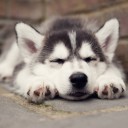 สมาชิกหมายเลข 4276813