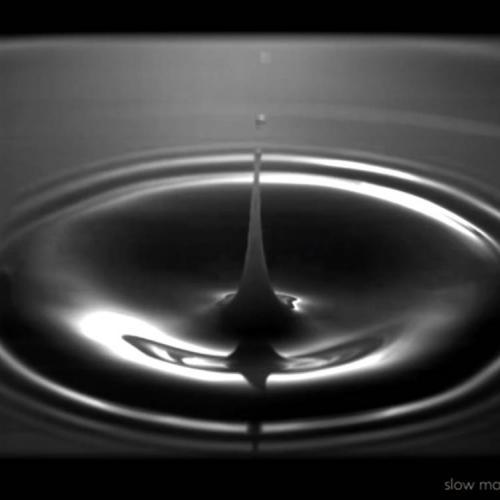 สมาชิกหมายเลข 4658598