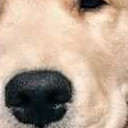 สมาชิกหมายเลข 2935682