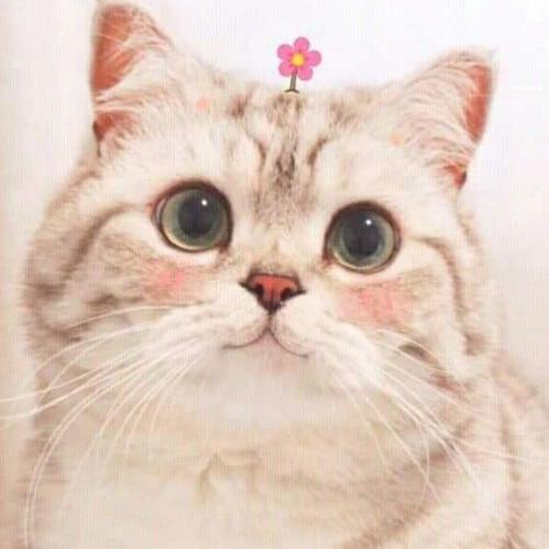 สมาชิกหมายเลข 4685725