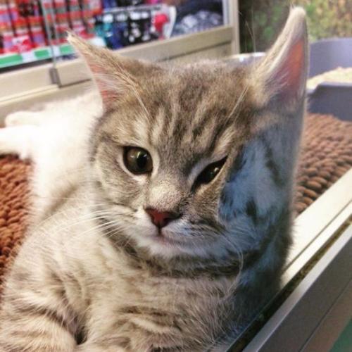 สมาชิกหมายเลข 5021852