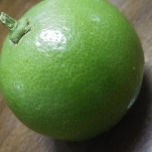 สมาชิกหมายเลข 1791266