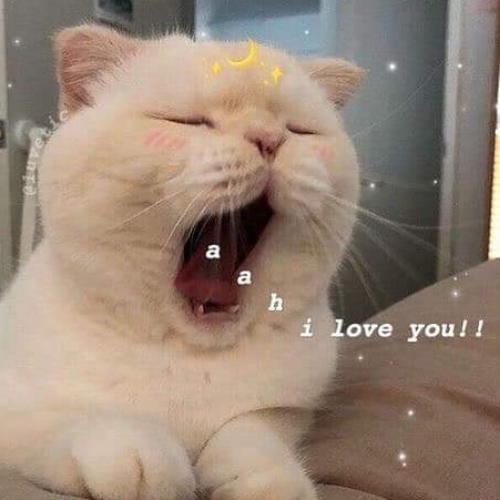 สมาชิกหมายเลข 5414558