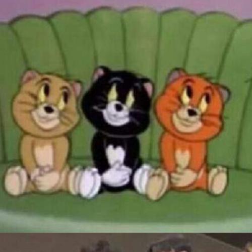 สมาชิกหมายเลข 6527764