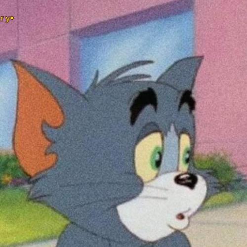 สมาชิกหมายเลข 6528406