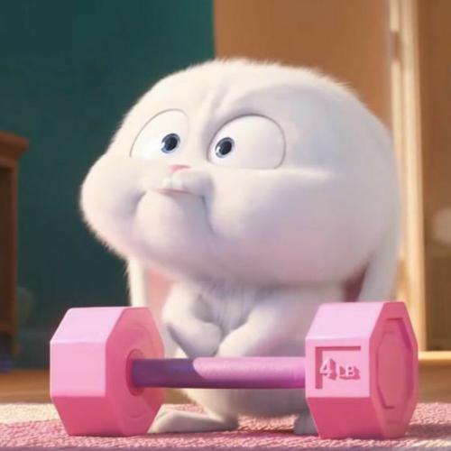 สมาชิกหมายเลข 6528613