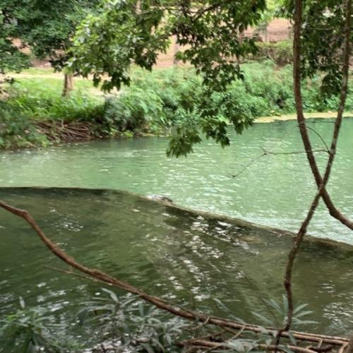 สมาชิกหมายเลข 1739023