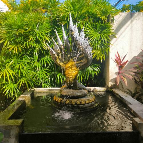 สมาชิกหมายเลข 1666579