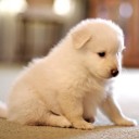 สมาชิกหมายเลข 3426752