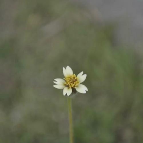 สมาชิกหมายเลข 1796579