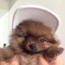 สมาชิกหมายเลข 4646615