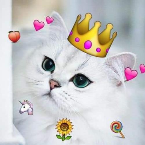 สมาชิกหมายเลข 5414841