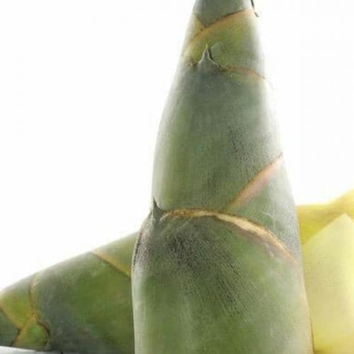 สมาชิกหมายเลข 1741766