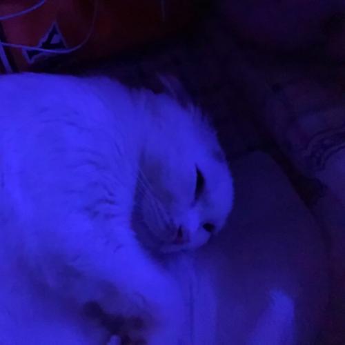 สมาชิกหมายเลข 3842833