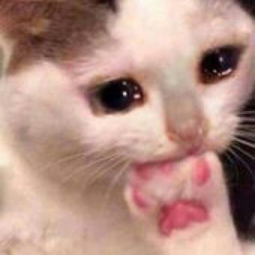 สมาชิกหมายเลข 6528771