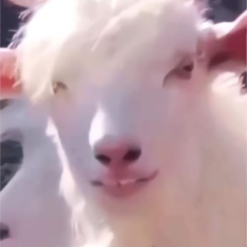 สมาชิกหมายเลข 6959071