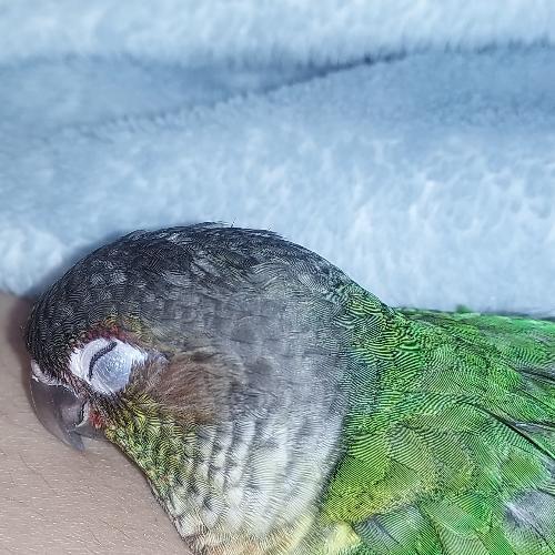 สมาชิกหมายเลข 7938305