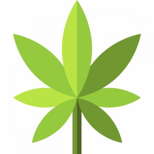 สมาชิกหมายเลข 4204104