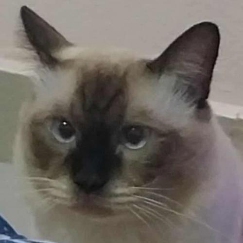 สมาชิกหมายเลข 8292245