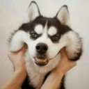 สมาชิกหมายเลข 3150347