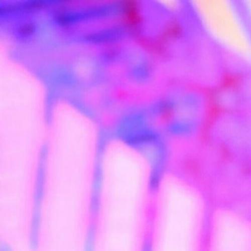 สมาชิกหมายเลข 4659445