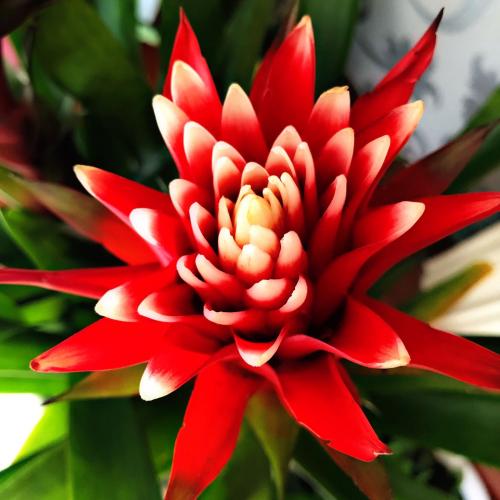 สมาชิกหมายเลข 4659455