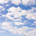 เจ้าหญิงทาโร่