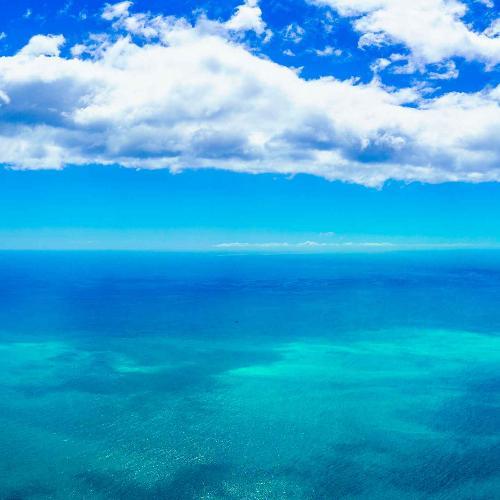 สมาชิกหมายเลข 4516977