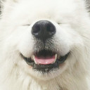 สมาชิกหมายเลข 4724185