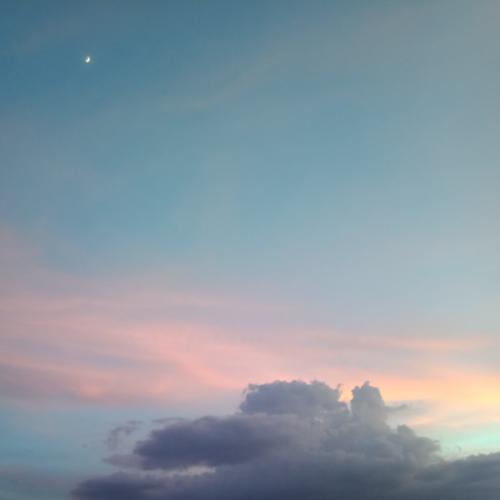 สมาชิกหมายเลข 5184889