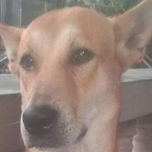 สมาชิกหมายเลข 5926375