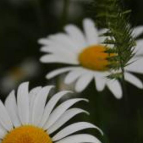 สมาชิกหมายเลข 3467062