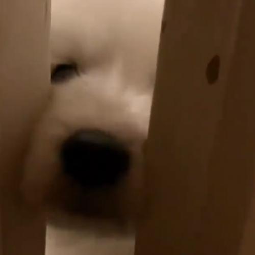 สมาชิกหมายเลข 6529627