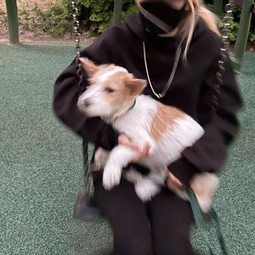 สมาชิกหมายเลข 6529763