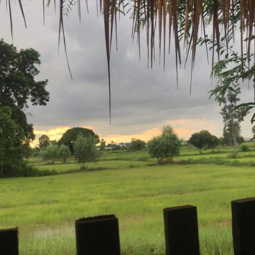 สมาชิกหมายเลข 6746095