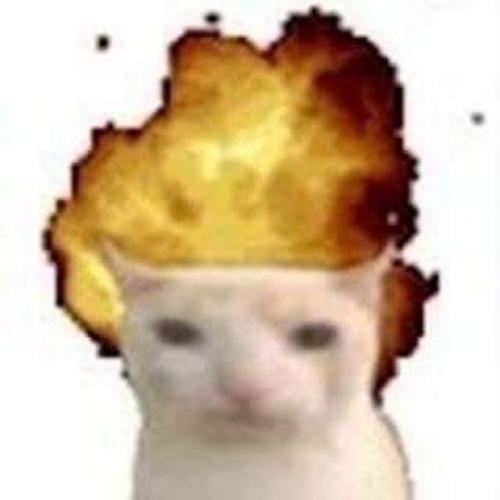 สมาชิกหมายเลข 6037809