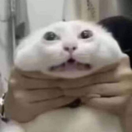 สมาชิกหมายเลข 8063551