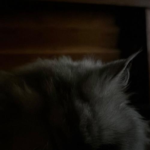 สมาชิกหมายเลข 8115762