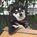 สมาชิกหมายเลข 3813350