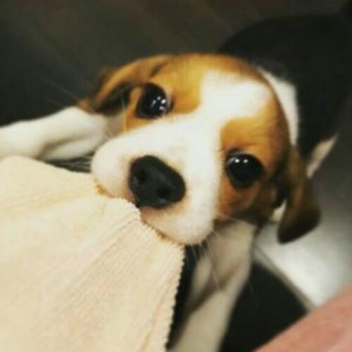 สมาชิกหมายเลข 2737901