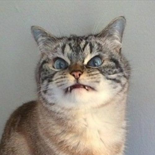 สมาชิกหมายเลข 5023278