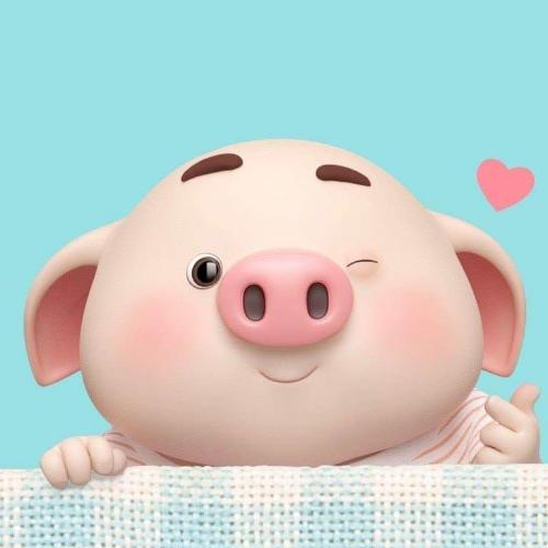 สมาชิกหมายเลข 4971592