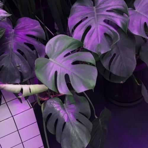 สมาชิกหมายเลข 5102801