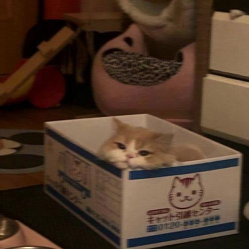 สมาชิกหมายเลข 5492718