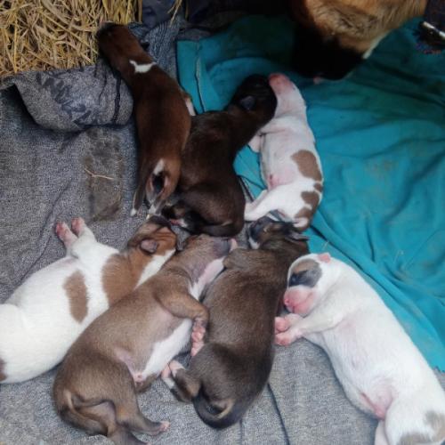 สมาชิกหมายเลข 6467825