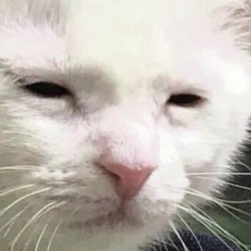 สมาชิกหมายเลข 5910592