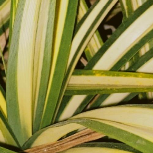 สมาชิกหมายเลข 6455571