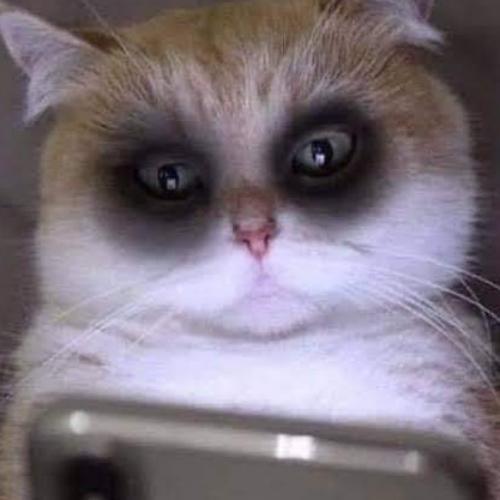 สมาชิกหมายเลข 8064307