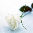 สมาชิกหมายเลข 3172175