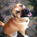 สมาชิกหมายเลข 3813766